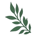 Sizzix Sizzix Bigz Die Gathered Leaves Jen Long