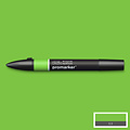 Winsor & Newton Winsor & Newton Promarker Bright Green G267