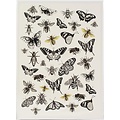 Dress My Craft Dress My Craft Transfer Me A4 sheet Bees & Flies
