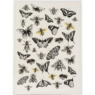 Dress My Craft Transfer Me A4 sheet Bees & Flies