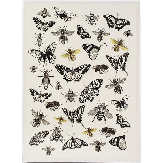 Dress My Craft Dress My Craft Transfer Me A4 sheet Bees & Flies