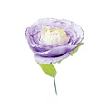 Sizzix Sizzix Thinlits die set Spring bloom