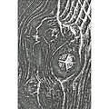 Tim Holtz Sizzix Tim Holtz 3-D Texture Fades Embossing Folder Woodgrain