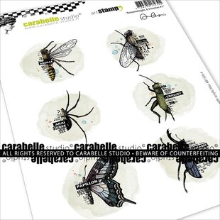Carabelle Studio Stempel A5 Entomologie, 6 insecten #1 van Alexi
