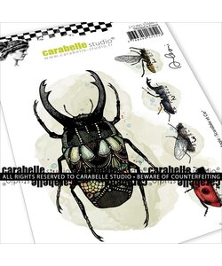 Carabelle Studio Stempel A6 Entomologie Beetle and Co. van Alexi 2st.