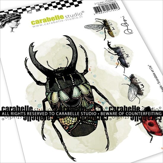 Carabelle Studio Carabelle Studio Stempel A6 Entomologie Beetle and Co. van Alexi 2st.