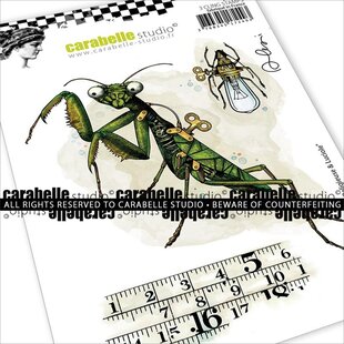 Carabelle Studio Stempel A6 Praying Mantis & Firefly van Alexi 3st.