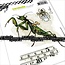 Carabelle Studio Carabelle Studio Stempel A6 Praying Mantis & Firefly van Alexi 3st.