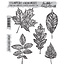 Tim Holtz Tim Holtz Cling Stamp Sketchy leaves