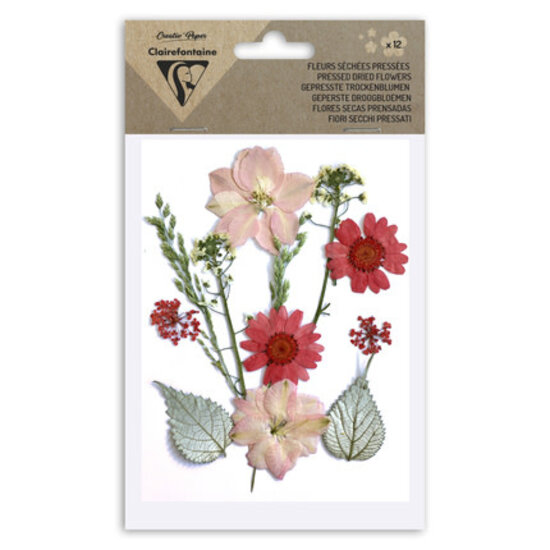 Clairefontaine Clairefontaine Droogbloemen & Bladeren Rood