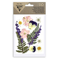 Clairefontaine Clairefontaine Droogbloemen & Bladeren Weide