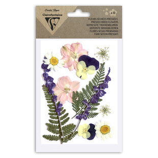 Clairefontaine Droogbloemen & Bladeren Weide