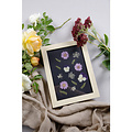 Clairefontaine Clairefontaine Droogbloemen & Bladeren Weide