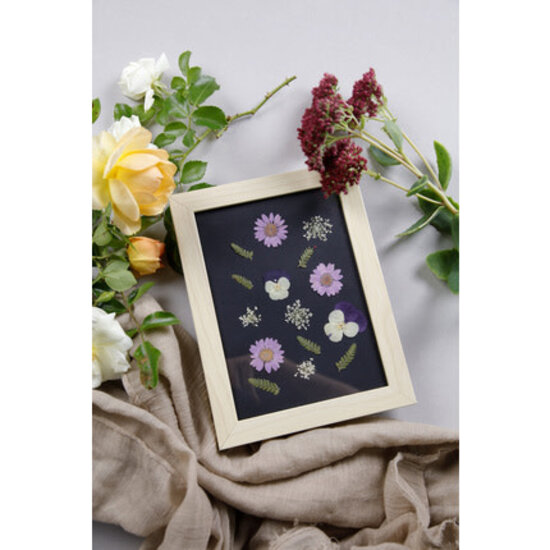 Clairefontaine Clairefontaine Droogbloemen & Bladeren Weide