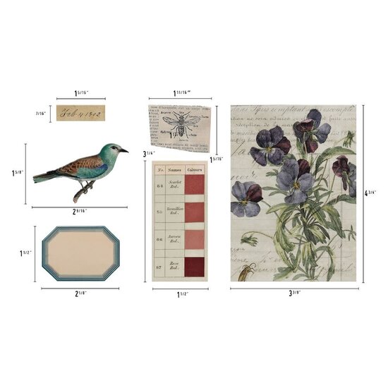 Tim Holtz Tim Holtz Idea-Ology Transparent Things 2 33pcs.