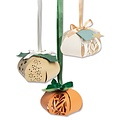 Sizzix Sizzix Thinlits Die Set 3D Lantern By Olivia Rose