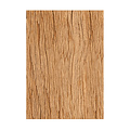 Stamperia Stamperia Rice Paper A6 Backgrounds All Around Christmas  8pcs.