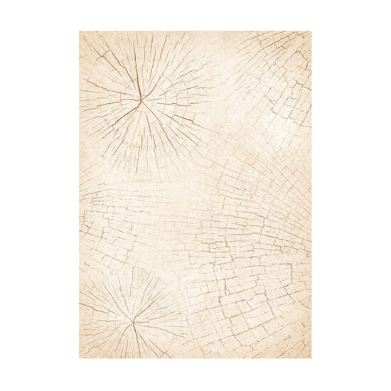 Stamperia Stamperia Rice Paper A6 Backgrounds All Around Christmas  8pcs.