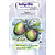 IndigoBlu IndigoBlu Rubber Stamp A6 Apples