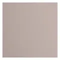 Florence Florence Cardstock Rhino Texture 12x12'' 216g
