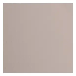 Florence Cardstock Rhino Texture 12x12'' 216g