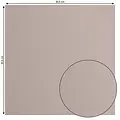Florence Florence Cardstock Rhino Texture 12x12'' 216g