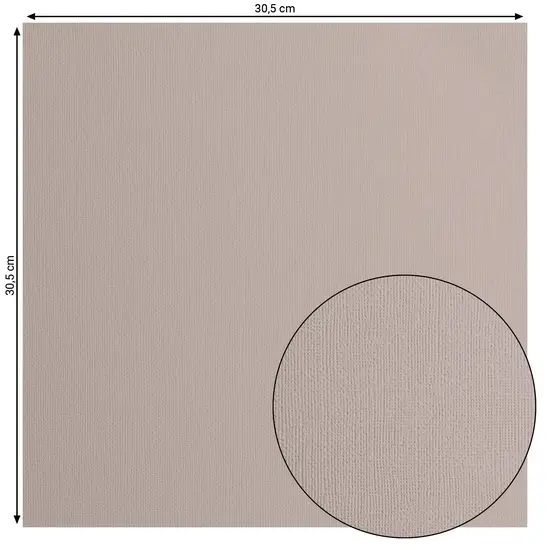 Florence Florence Cardstock Rhino Texture 12x12'' 216g