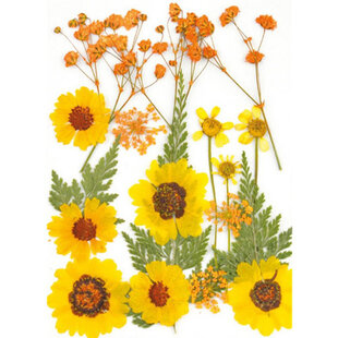 Droogbloemen Dry pressed flowers Yellow - Verpakking 13x18cm.