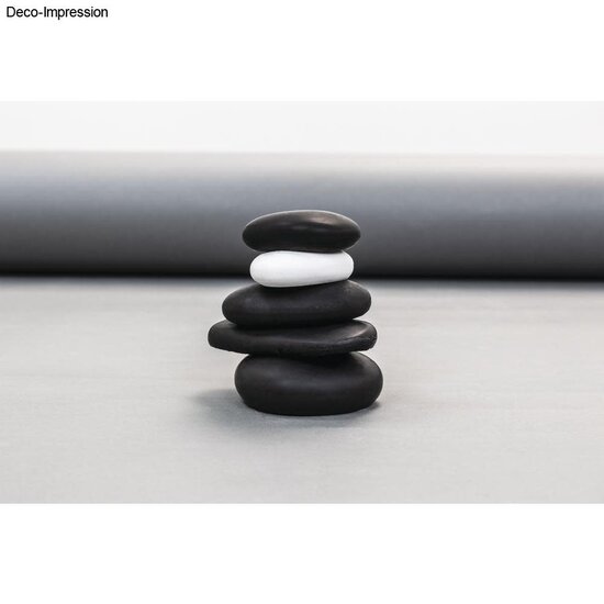 Rayher Gietpoeder Raysin 250 1KG