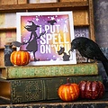 Tim Holtz Sizzix Tim Holtz Thinlits Die Set Vault Halloween Wicked 15Pcs