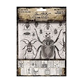 Tim Holtz Tim Holtz Idea-Ology Halloween Collage Paper 30pcs