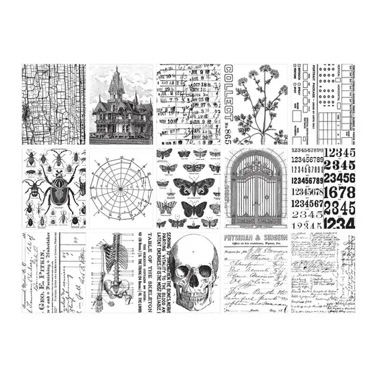Tim Holtz Tim Holtz Idea-Ology Halloween Collage Paper 30pcs