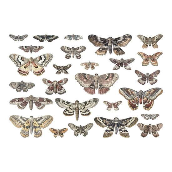 Tim Holtz Tim Holtz Idea-Ology Halloween Transparent Moths 26pcs