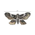 Tim Holtz Tim Holtz Idea-Ology Halloween Transparent Moths 26pcs
