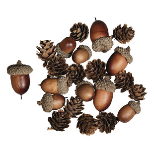 Rayher Eikel Dennenappel Mix 2-4cm 27st