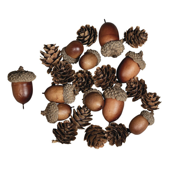 Rayher Rayher Eikel Dennenappel Mix 2-4cm 27st
