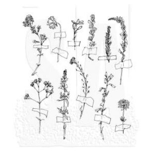 Tim Holtz Cling Stamp Forgotten Garden
