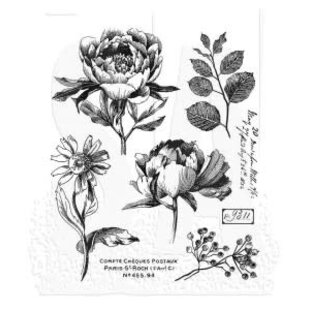 Tim Holtz Cling Stamp French Garden