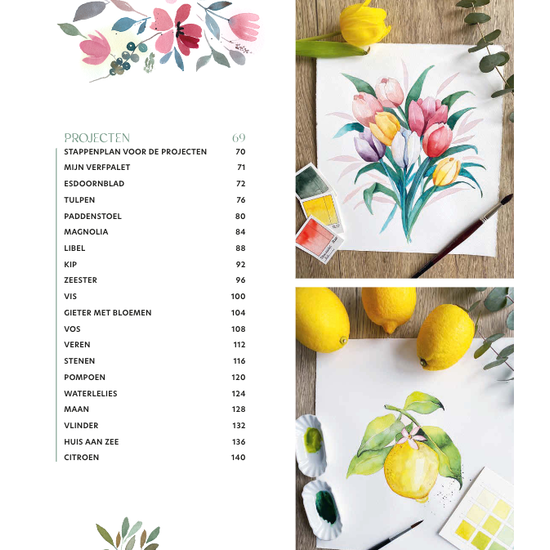 Deltas Kleurrijk schilderen met aquarel - Traudel Donderer