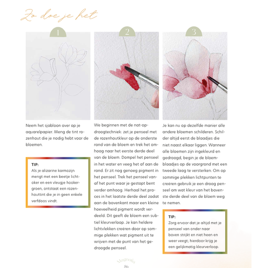 Deltas Kleurrijk schilderen met aquarel - Traudel Donderer