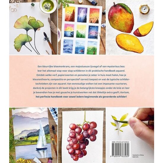 Deltas Handboek Schilderen met aquarel - Monica Schick