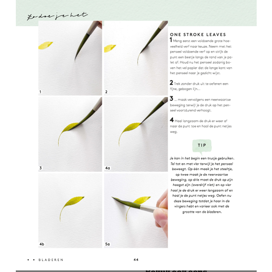 Deltas Handboek Schilderen met aquarel - Monica Schick