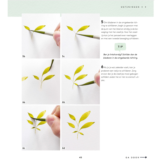 Deltas Handboek Schilderen met aquarel - Monica Schick