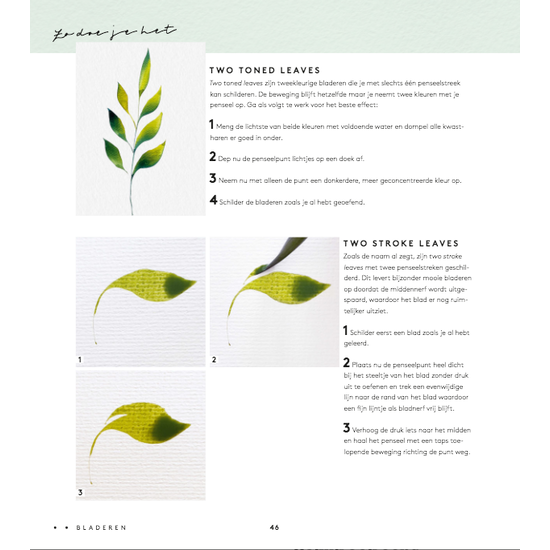 Deltas Handboek Schilderen met aquarel - Monica Schick