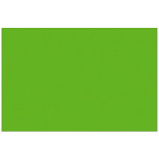 Kangaro Fotokarton Grasgroen 50x70cm 300g