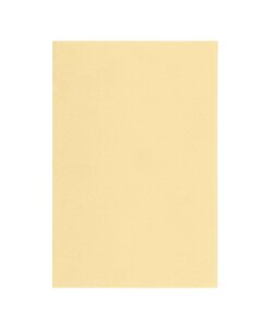 Viltlapje 20x30cm 1mm Pastel Geel