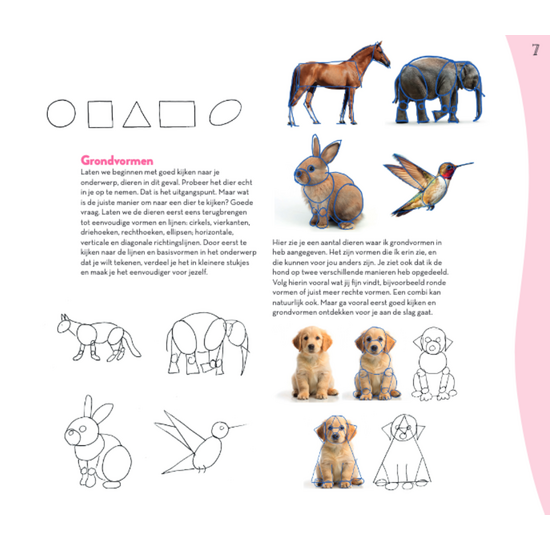MUS Creatief Basisboek dieren tekenen & schilderen  By Julia Woning