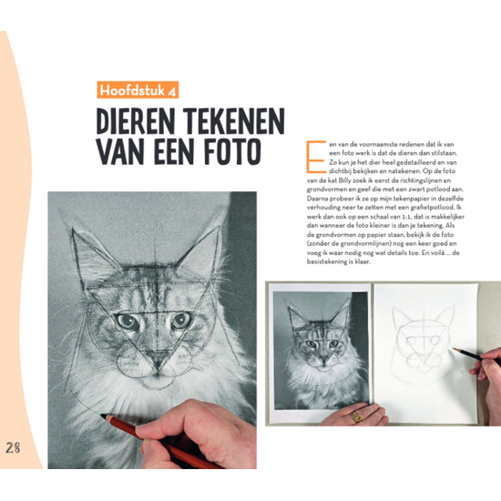 MUS Creatief Basisboek dieren tekenen & schilderen  By Julia Woning