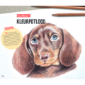 MUS Creatief Basisboek dieren tekenen & schilderen  By Julia Woning