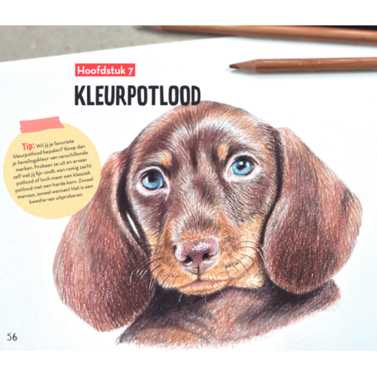 MUS Creatief Basisboek dieren tekenen & schilderen  By Julia Woning